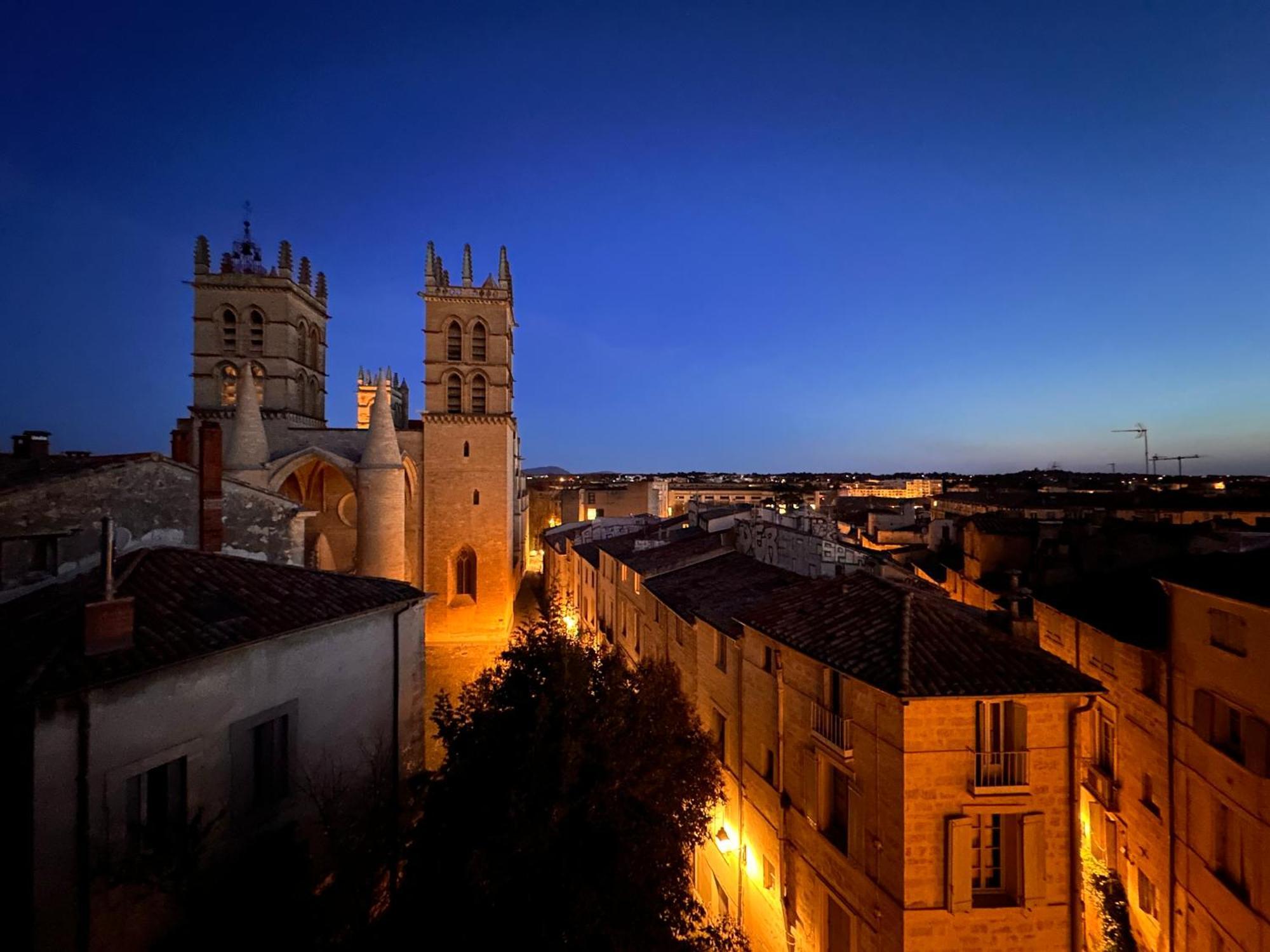 La Terrasse, Vue Sur Les Toits De Montpellier公寓 外观 照片