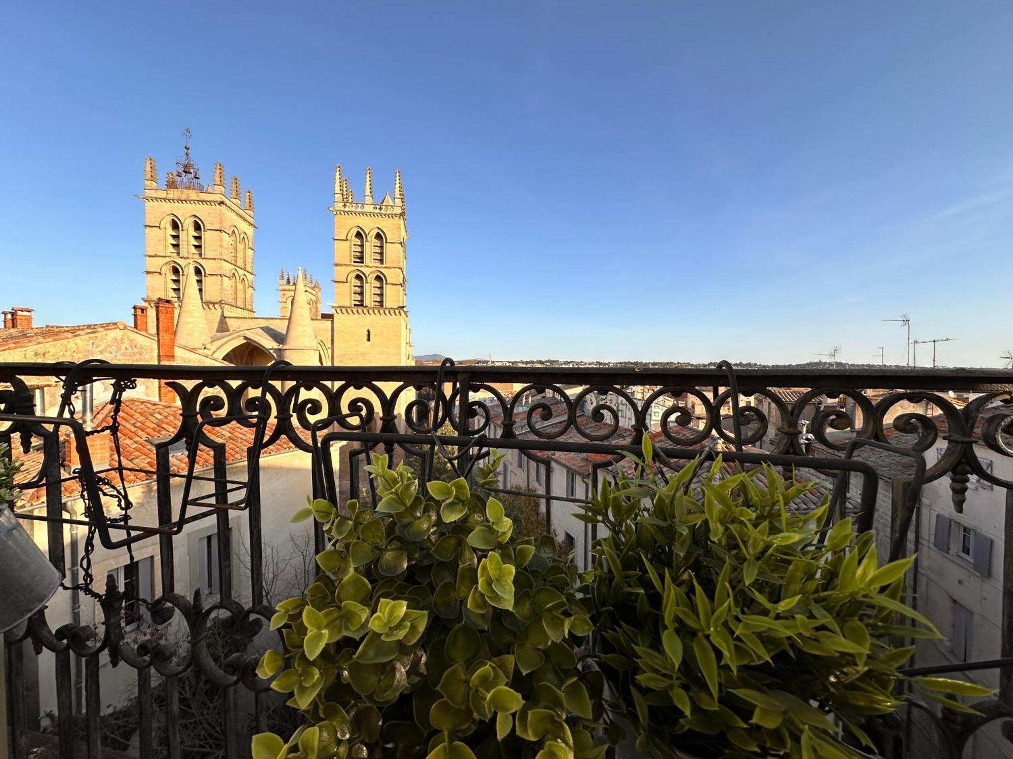 La Terrasse, Vue Sur Les Toits De Montpellier公寓 外观 照片